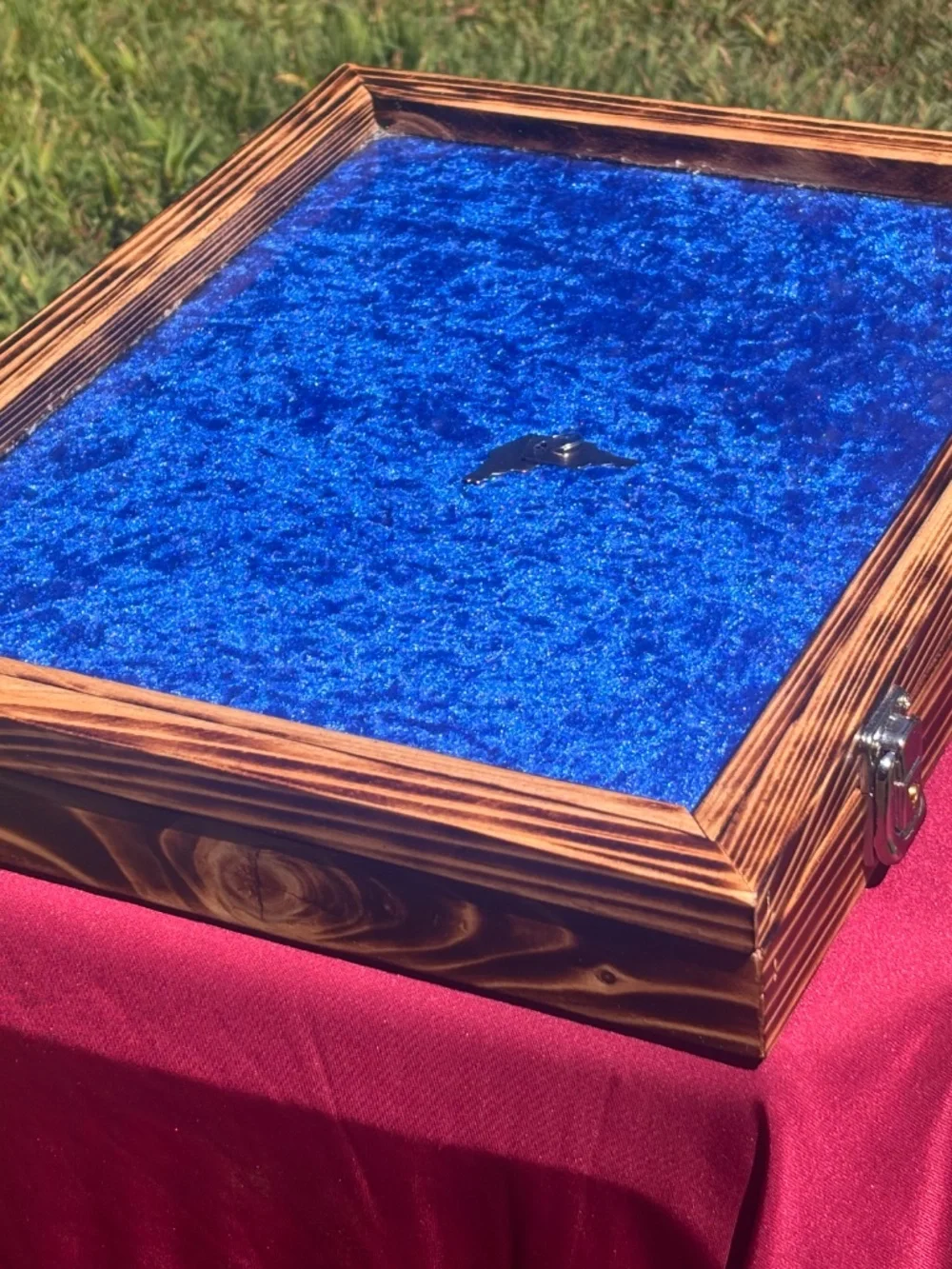 Burnt cypress display case